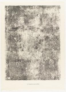 Primordial Vegetation (végétation Primordiale) From The Portfolio Sites And Paths (sites Et Chaussées) From Phenomena (les Phénomènes) — Jean Philippe Arthur Dubuffet