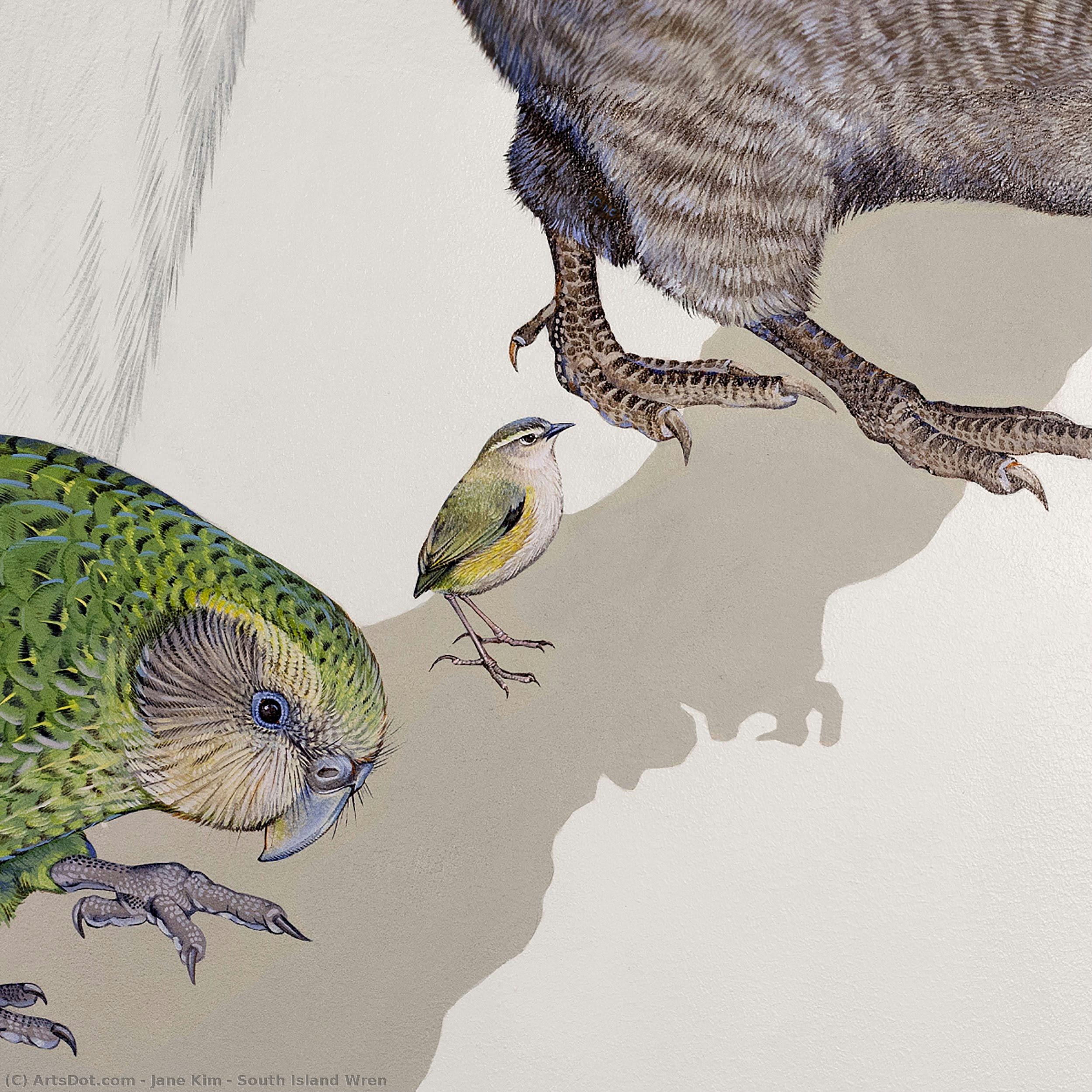 South Island Wren — Jane Kim