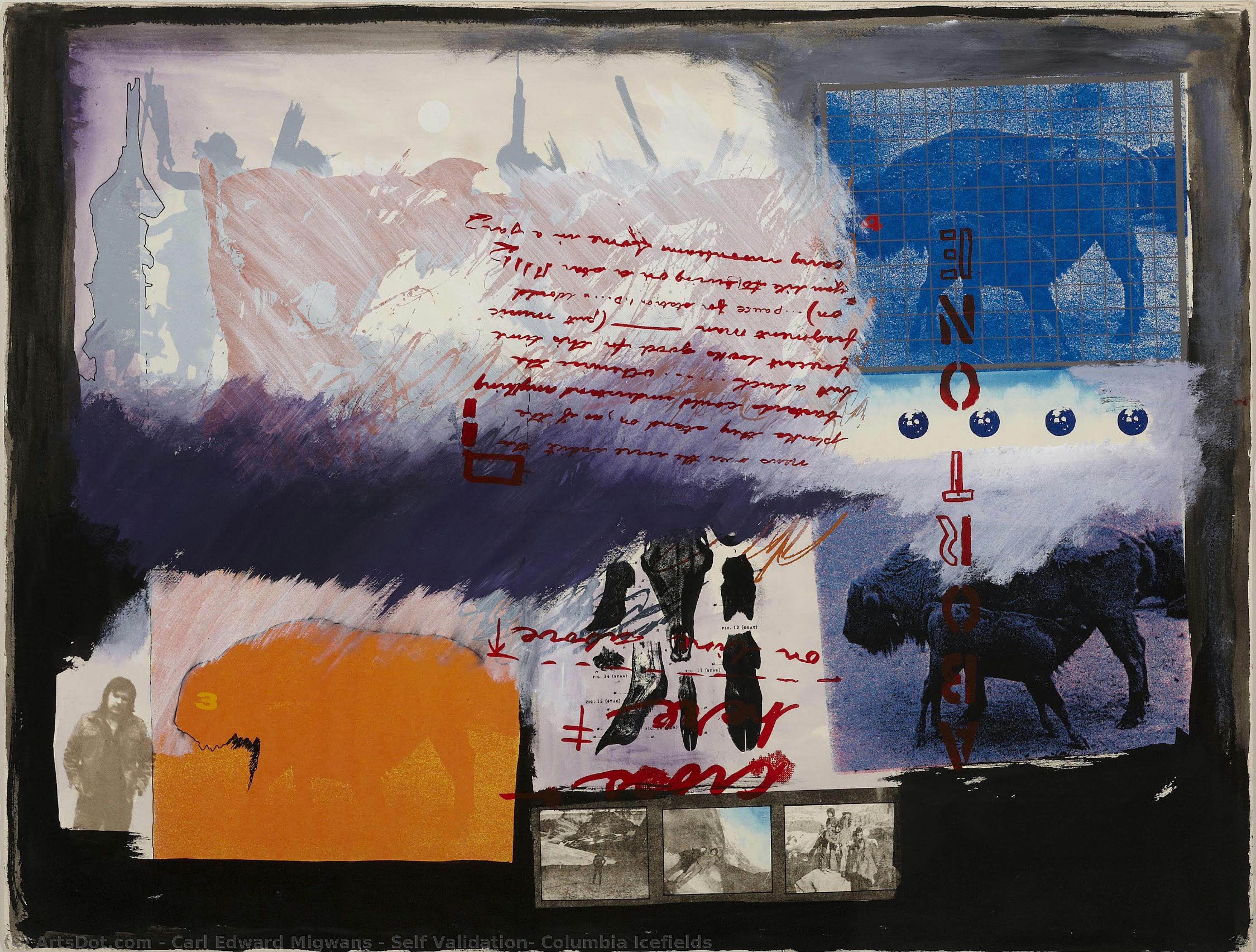 Self Validation, Columbia Icefields — Carl Edward Migwans