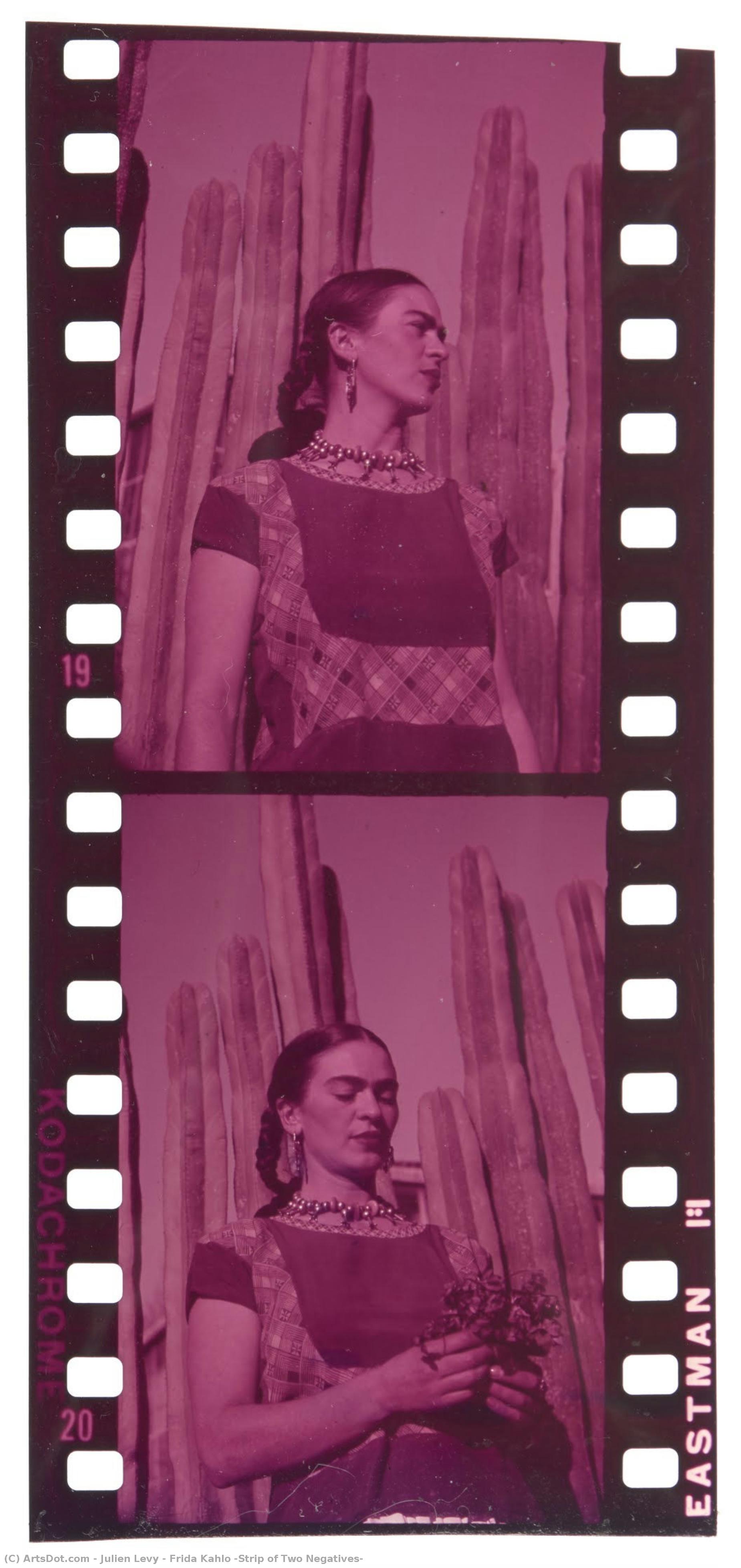 Frida Kahlo (strip Of Two Negatives) — Julien Levy
