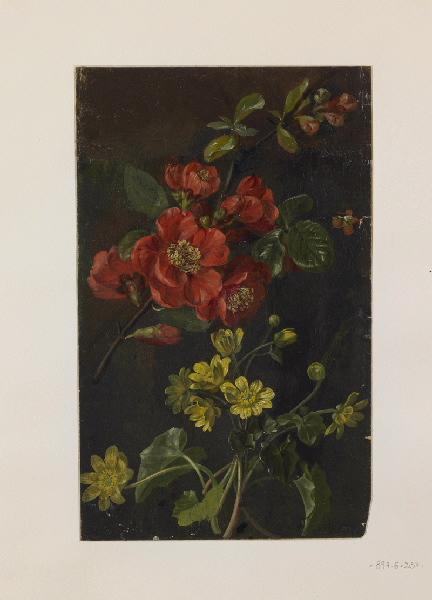 Fleurs Diverses (recto) Fleurs Esquissées (verso) — Moïse Jacobber