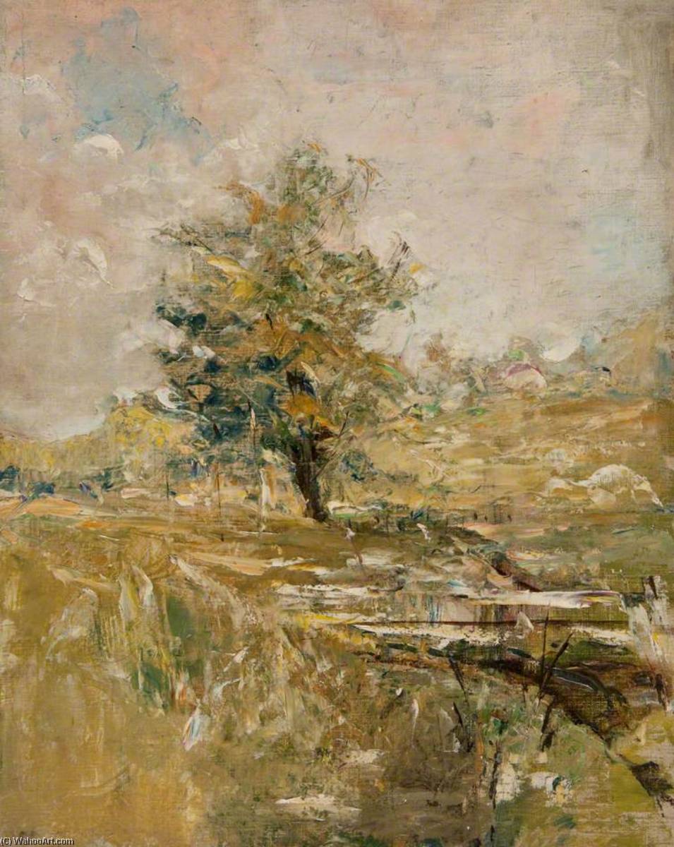 Country In Summer, Single Tree — John Elliot Maguire