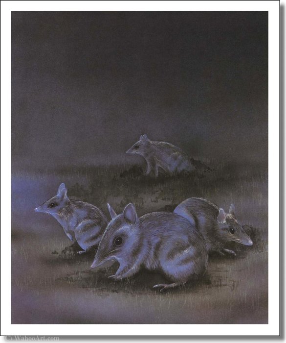Untitled (195) — Graeme Base