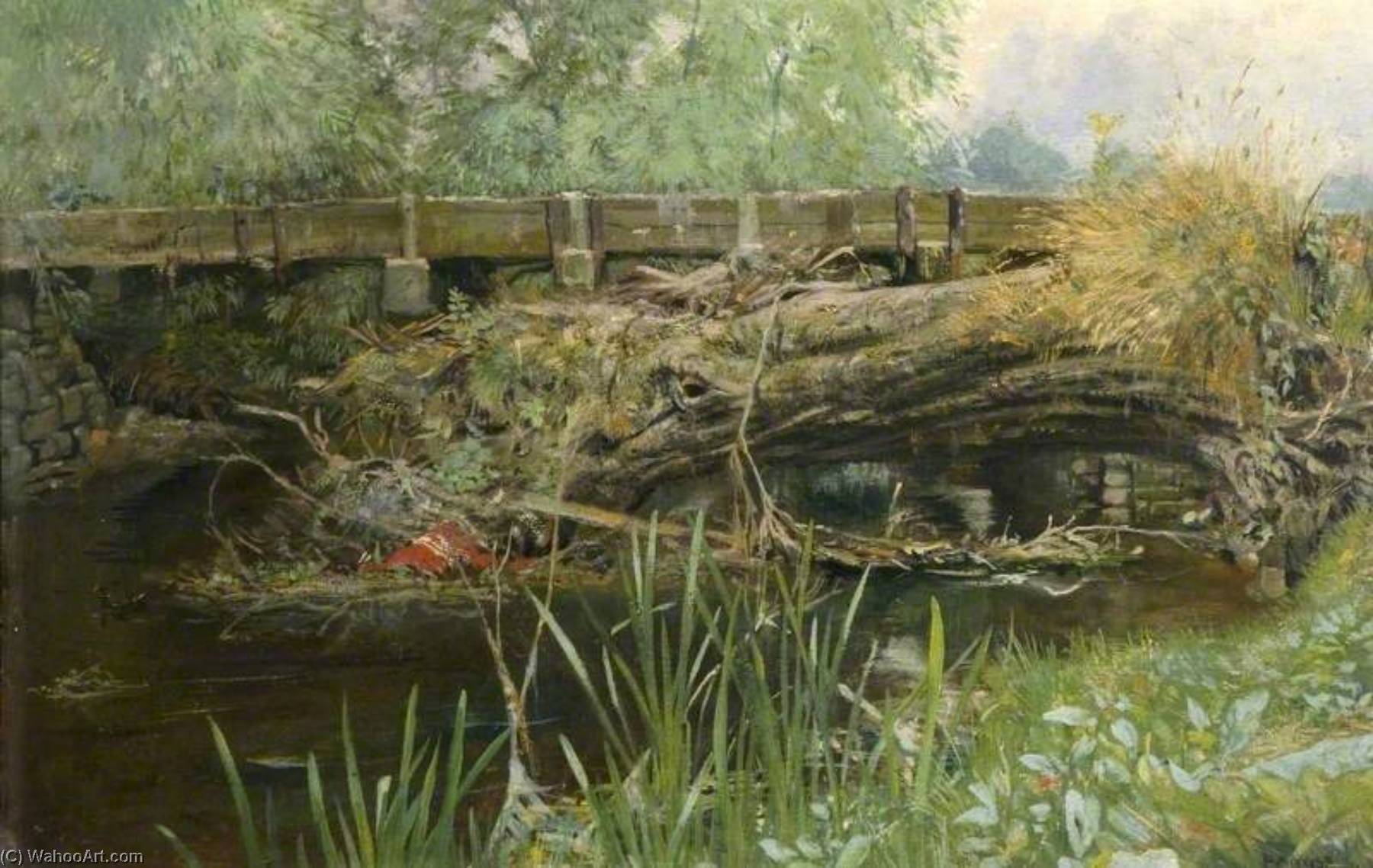 The Haunt Of The Moorhen — Percival Arthur Wise