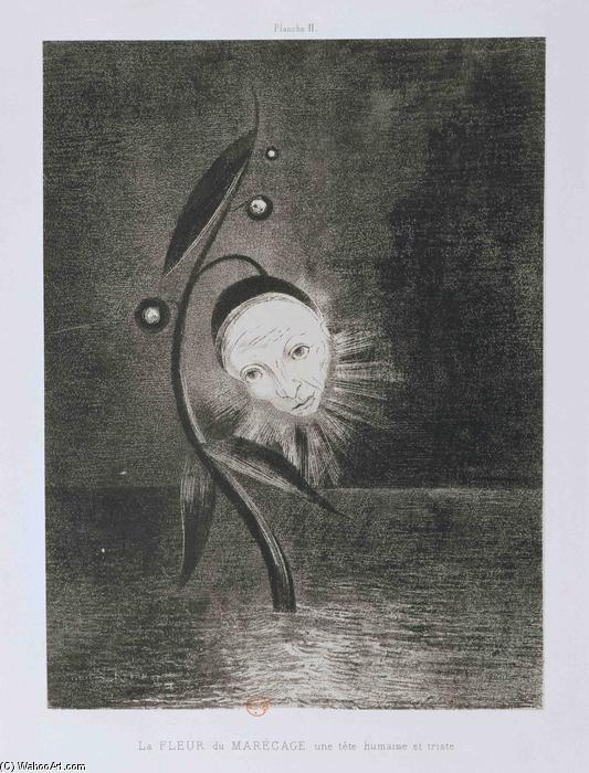 Flower Of The Swamp, A Head Human And Sad — Odilon Redon