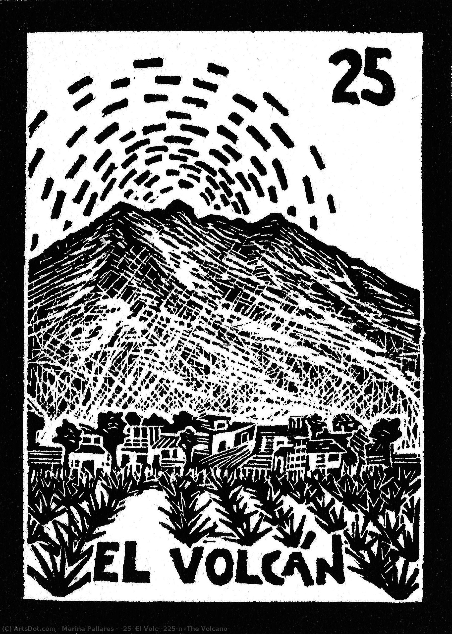 #25: El Volcán (the Volcano) — Marina Pallares