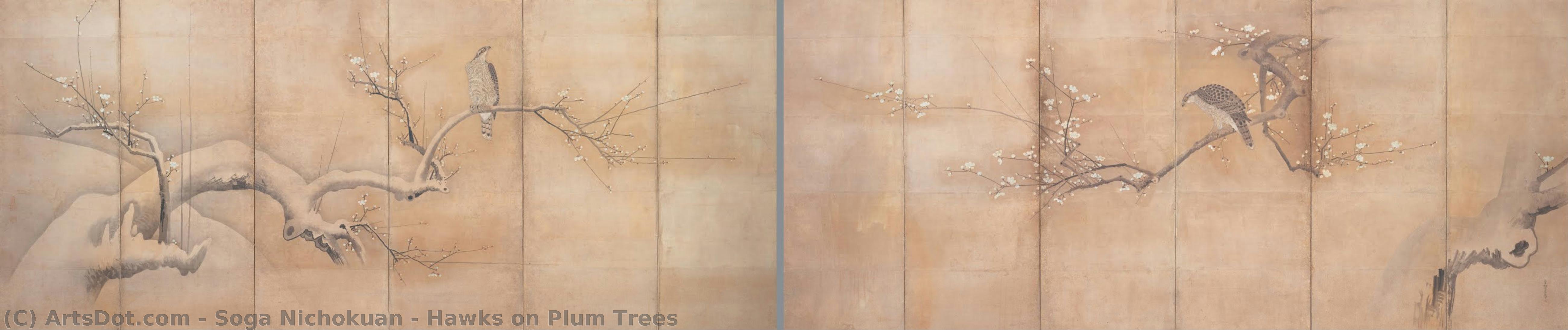 Hawks On Plum Trees — Soga Nichokuan