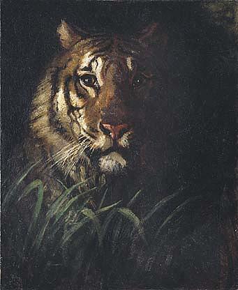 Tiger's Head, (painting) — А́бботт Хендерсон Тейер