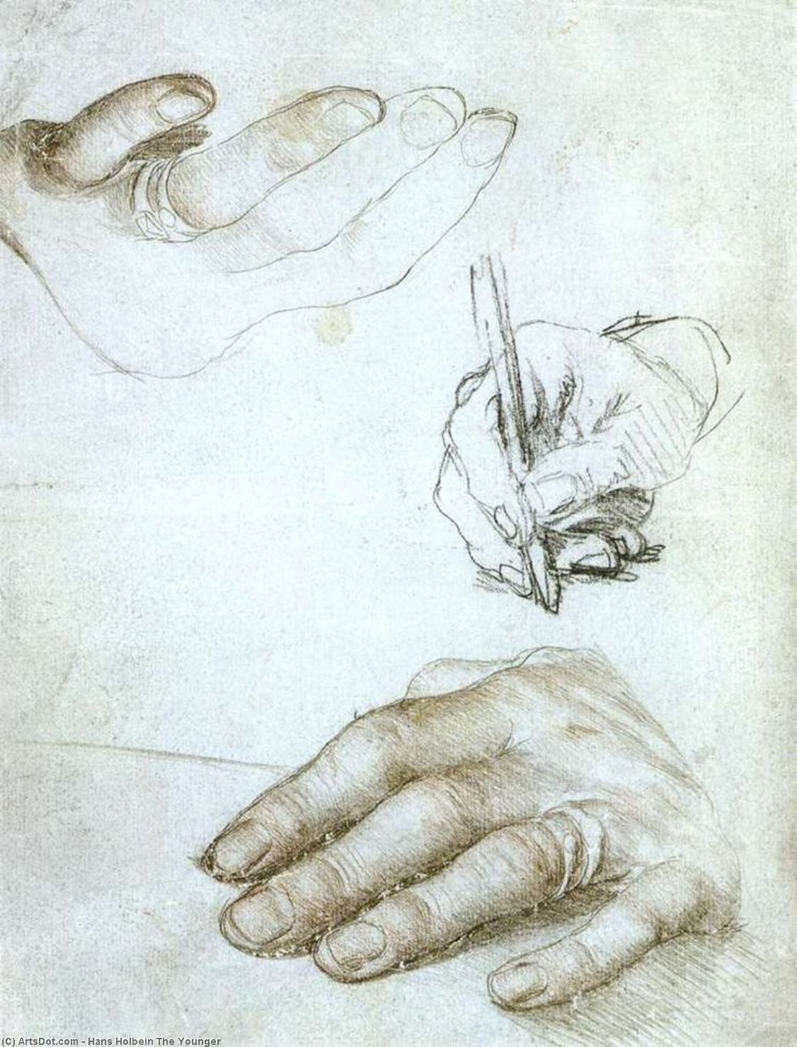 Studies Of The Hands Of Erasmus Of Rotterdam — Hans Holbein The Younger