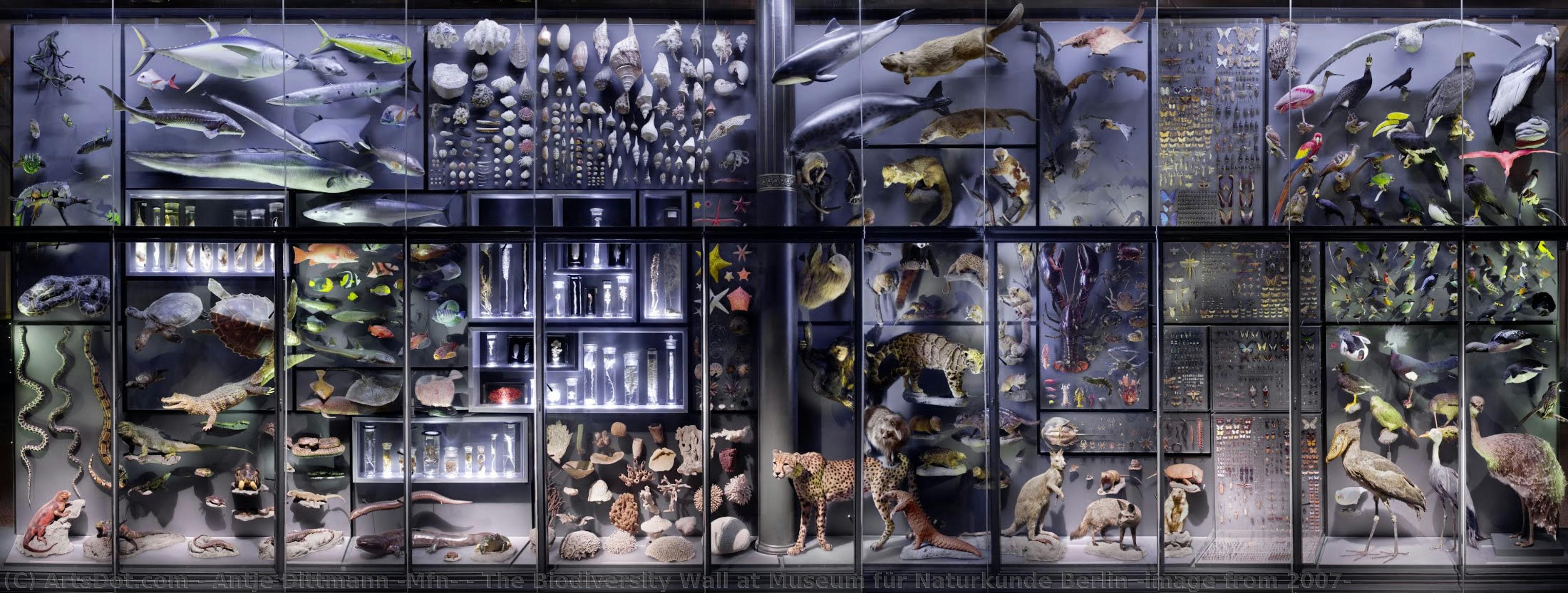 The Biodiversity Wall At Museum Für Naturkunde Berlin (image From 2007) — Antje Dittmann (mfn)