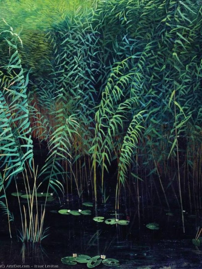 Reeds And Water Lilies — Isaak Ilyich Levitan