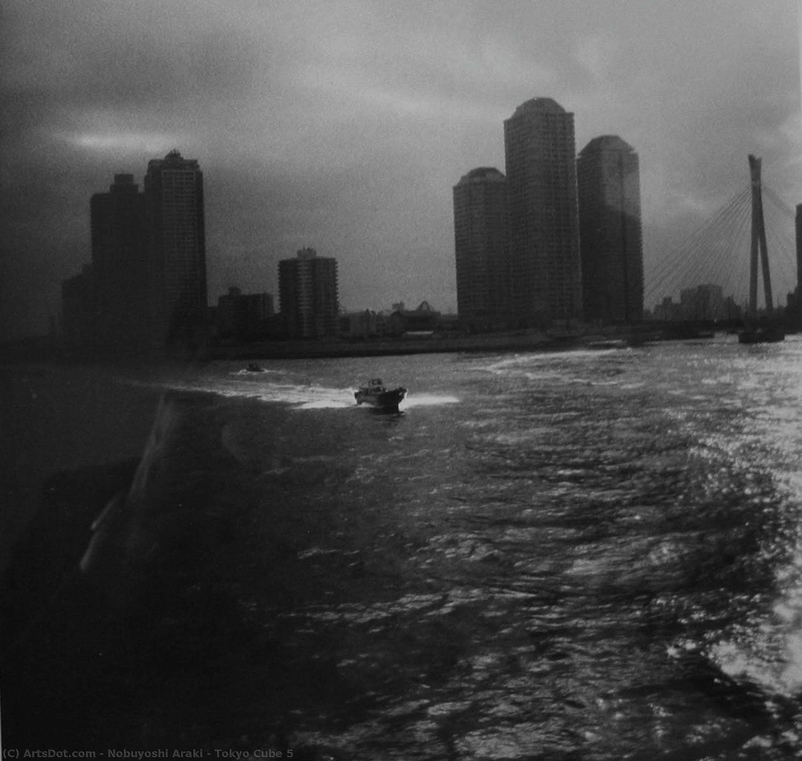 Tokyo Cube 5 — Nobuyoshi Araki