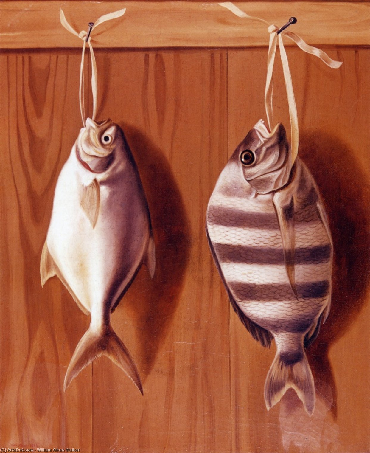 Dollar Fish And Sheephead — Vilijam Ejkен Voker
