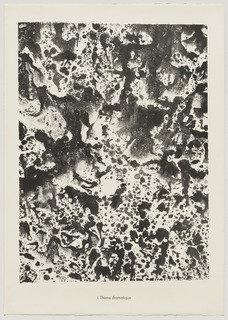 Dramatic Theme (thème Dramatique) From The Portfolio Theater Of The Earth (théâtre Du Sol) From Phenomena (les Phénomènes) — Jean Philippe Arthur Dubuffet
