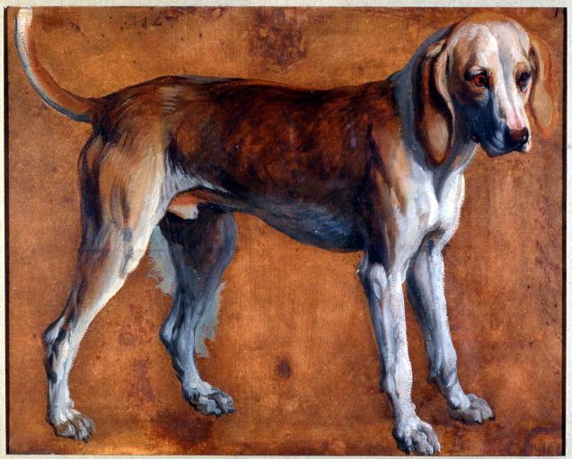 Chien De La Meute De Louis Xiv — アレクサンドル・フランソワ・デポール