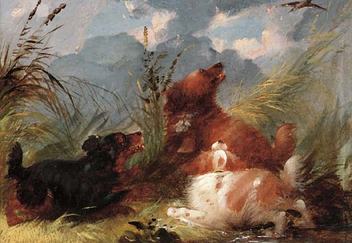 Spaniels Flushing Out Snipe — George Armfield (smith)