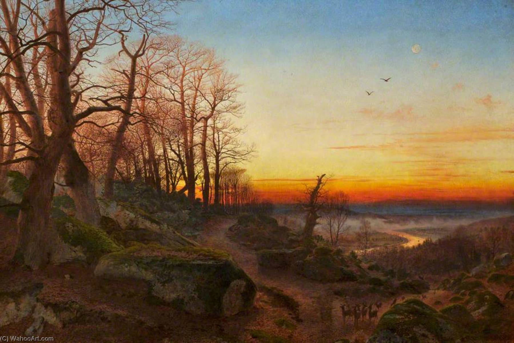 Evening Glow — Andrew Mccallum