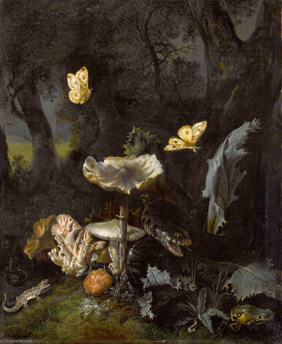 A Forest Floor Still Life — Otto Marseus Van Schrieck