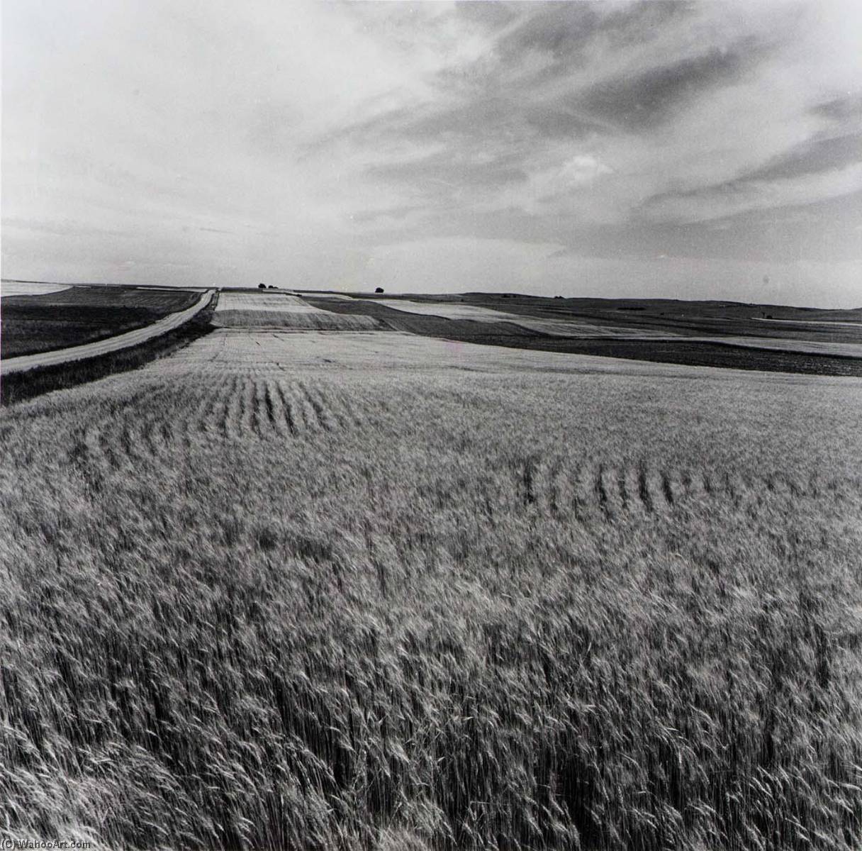 Kiowa County, From The Kansas Documentary Survey Project — Larry W Schwarm