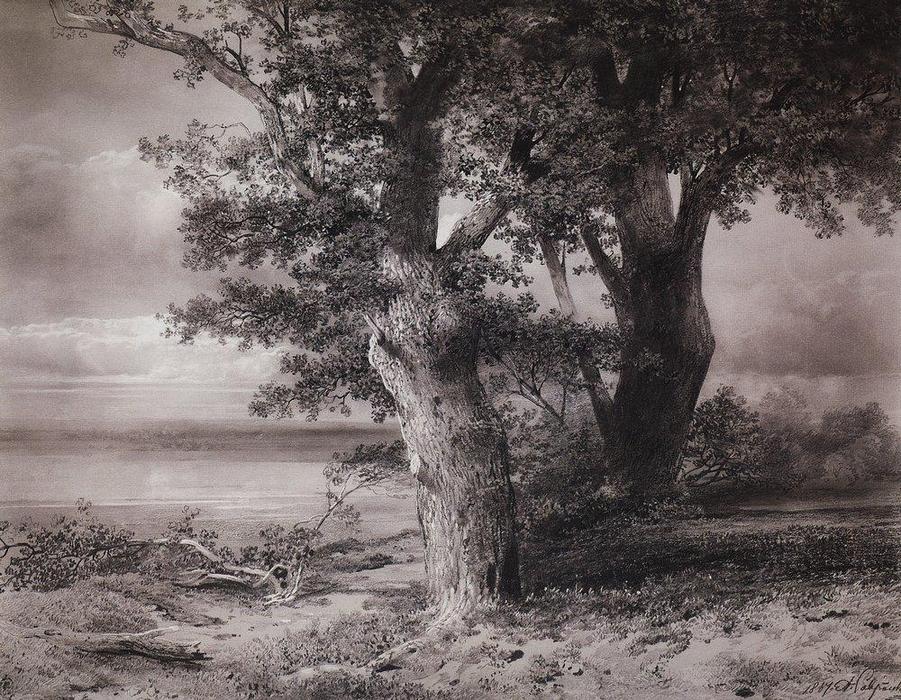 Oaks On The Shore — Aleksey Savrasov