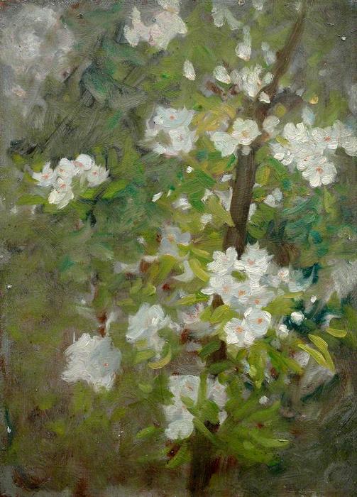White Blossom — Henry Scott Tuke