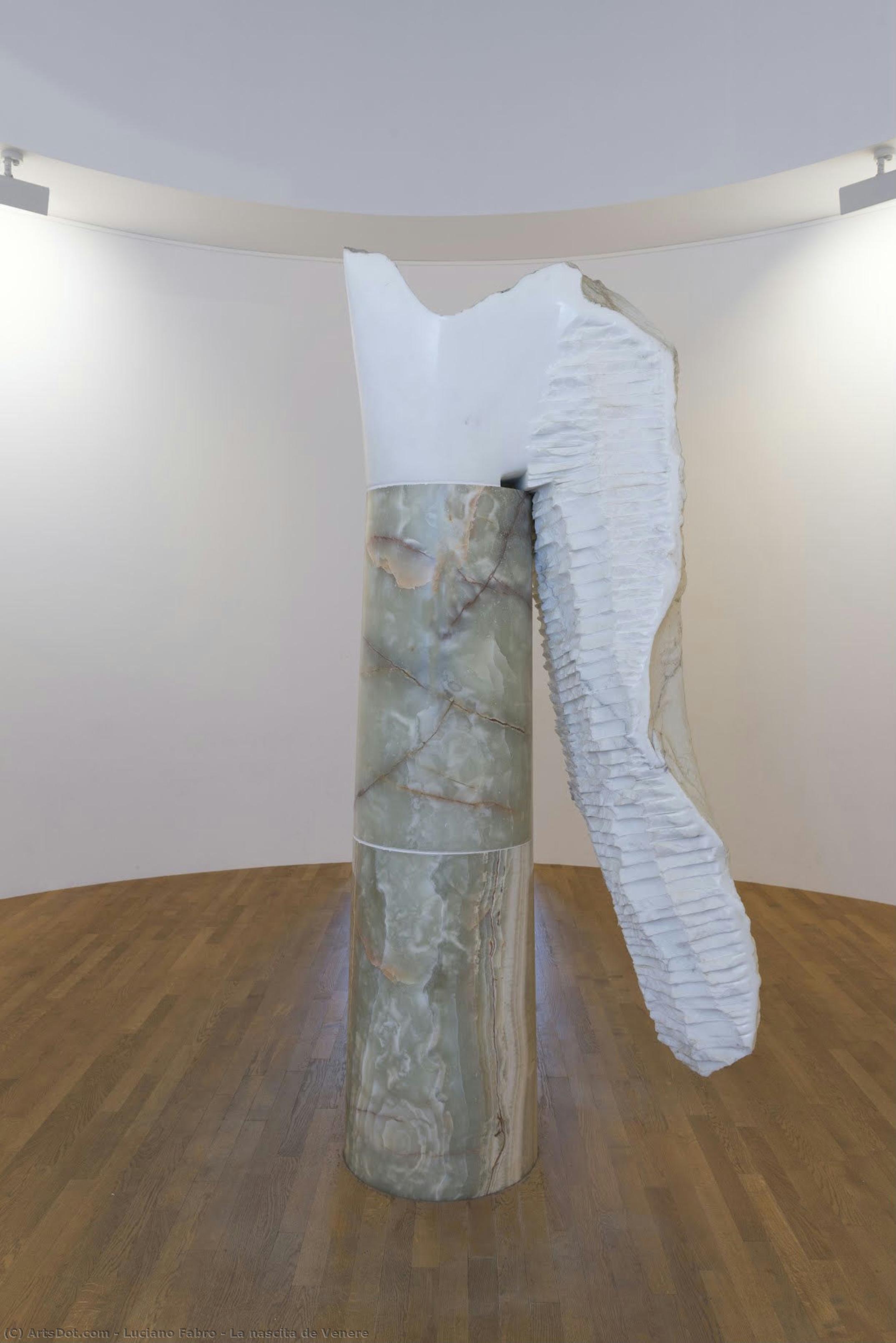 La Nascita De Venere — Luciano Fabro
