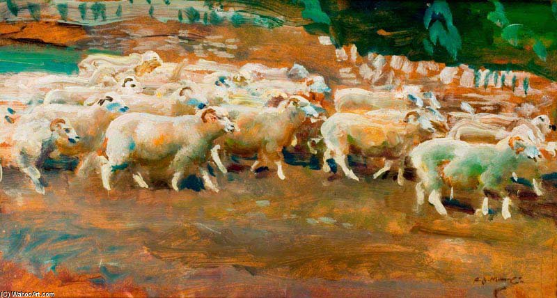 Sheep On Exmoor — Маннингс