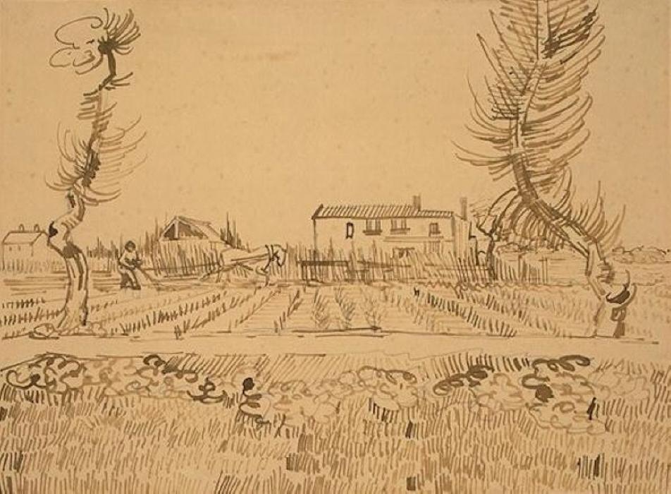 El Labrador En Los Campos Cerca De Arlés — Vincent Willem Van Gogh