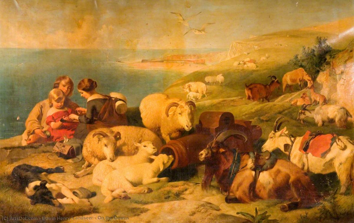 On The Downs — Edvin Henri Lendsijer