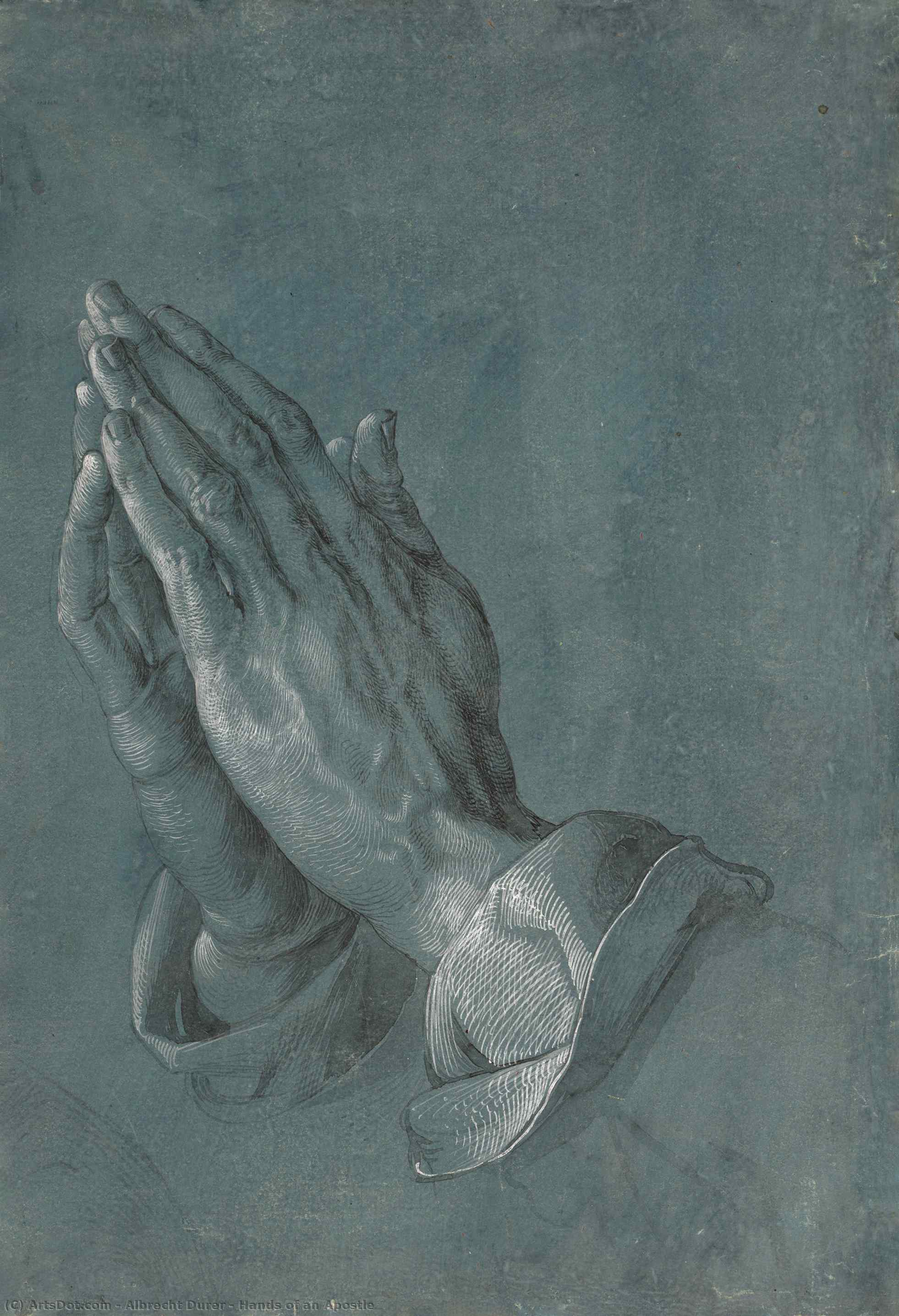 Hands Of An Apostle — Albrecht Dürer