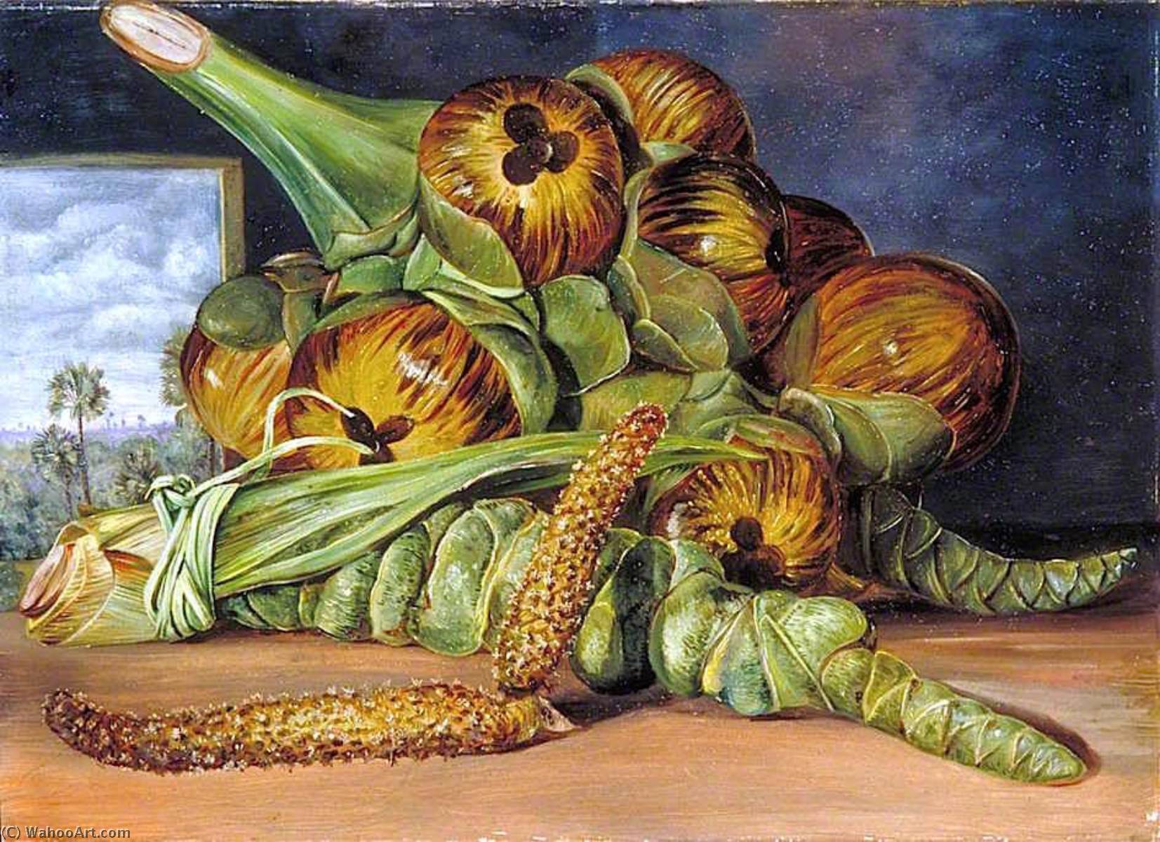 Flowers And Fruit Of The Palmyra, And The Palm Seen Through A Window, Java — Marijana Nort