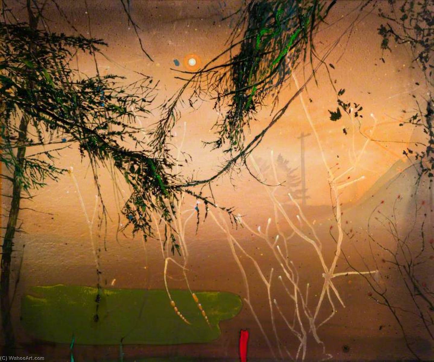 Chronicle Of Orange — Elizabeth Magill