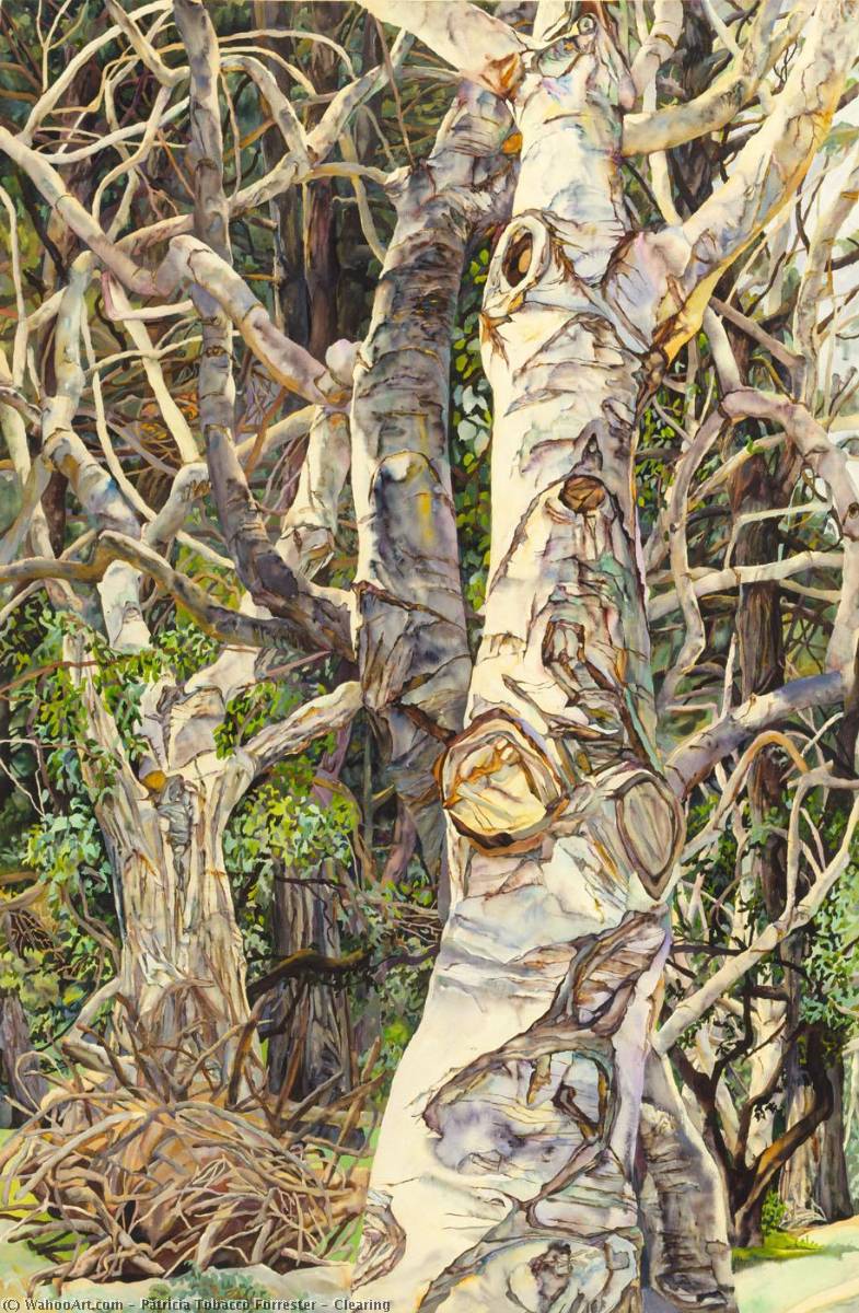 Clearing — Patricia Tobacco Forrester