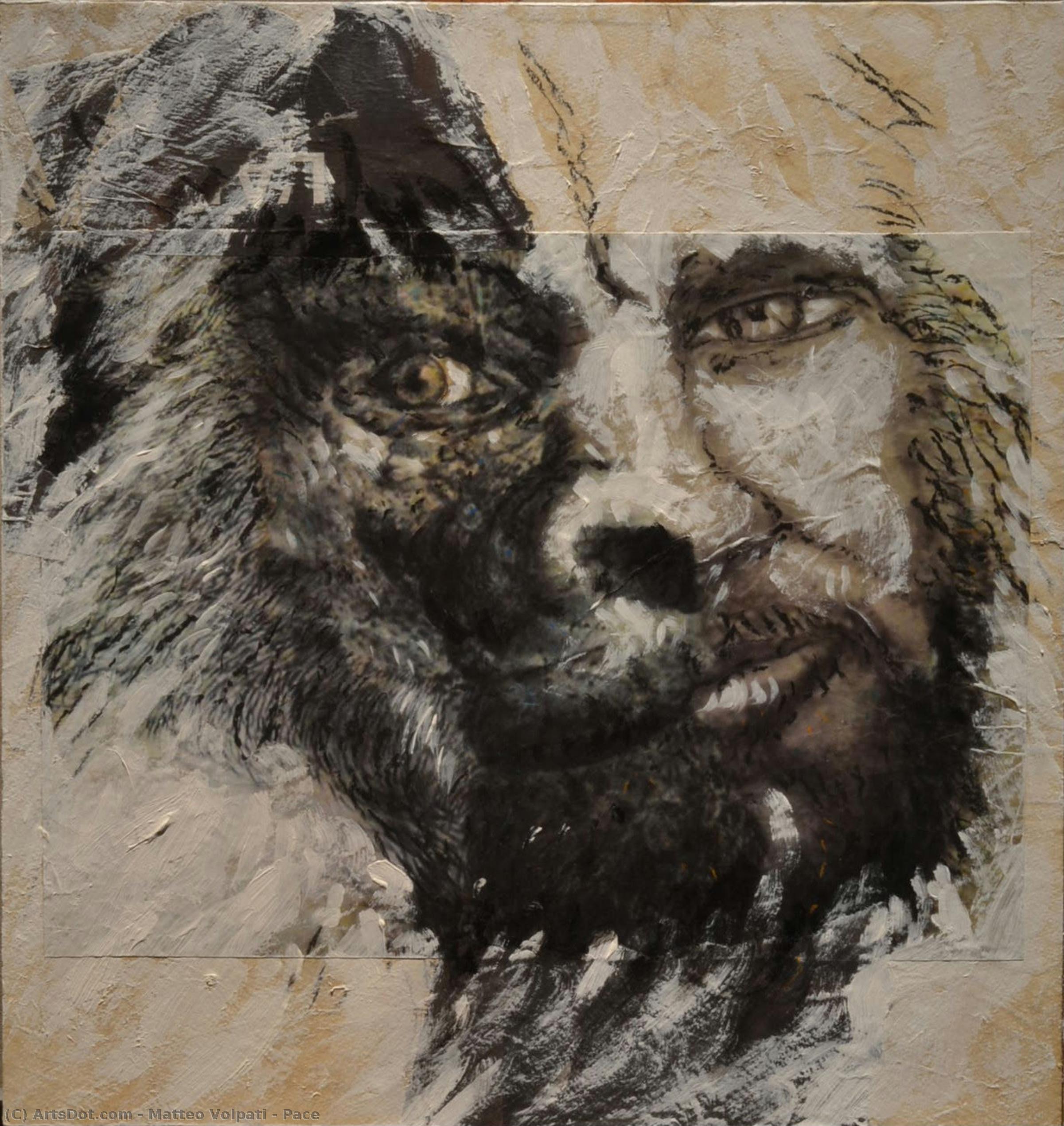 Pace — Matteo Volpati
