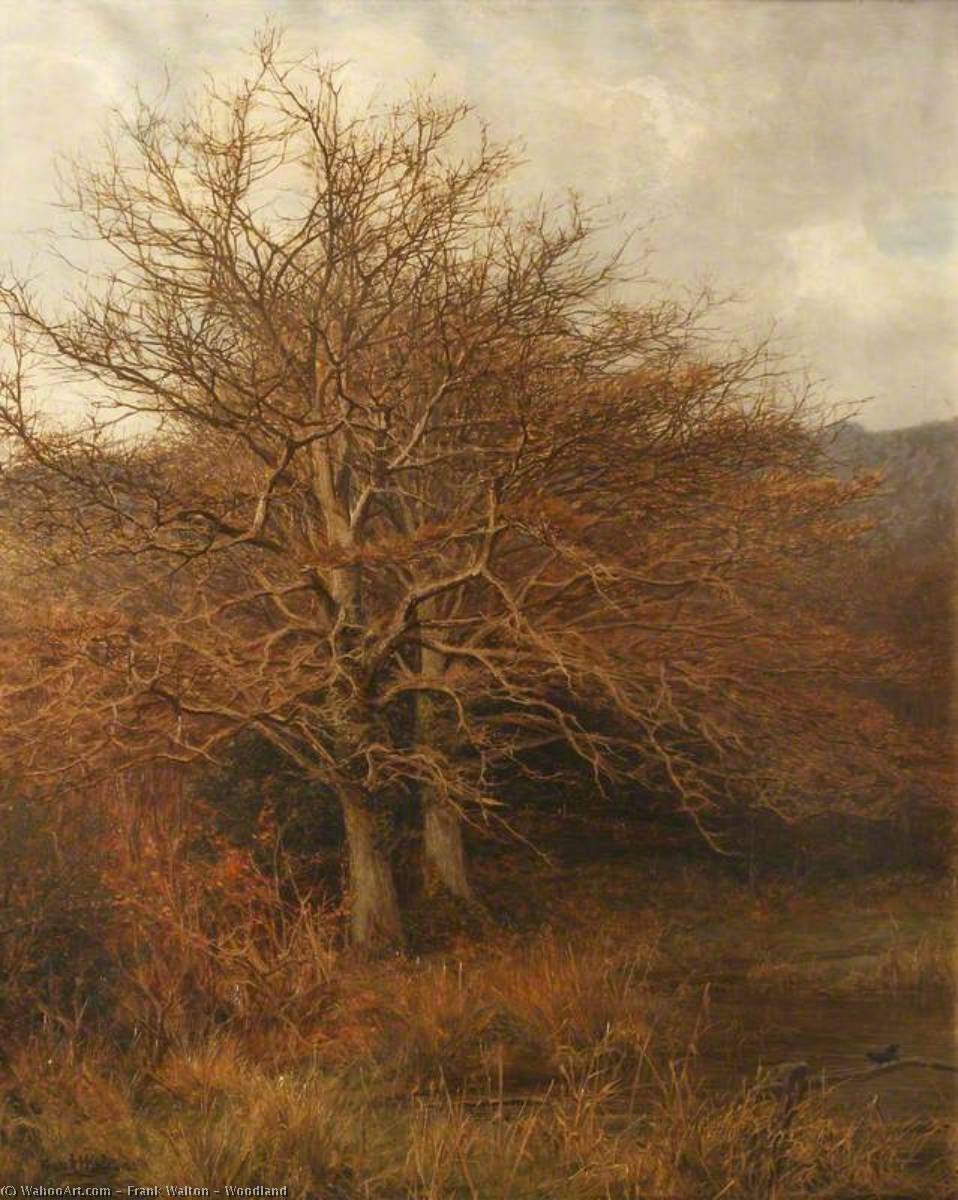 Woodland — Frank Walton