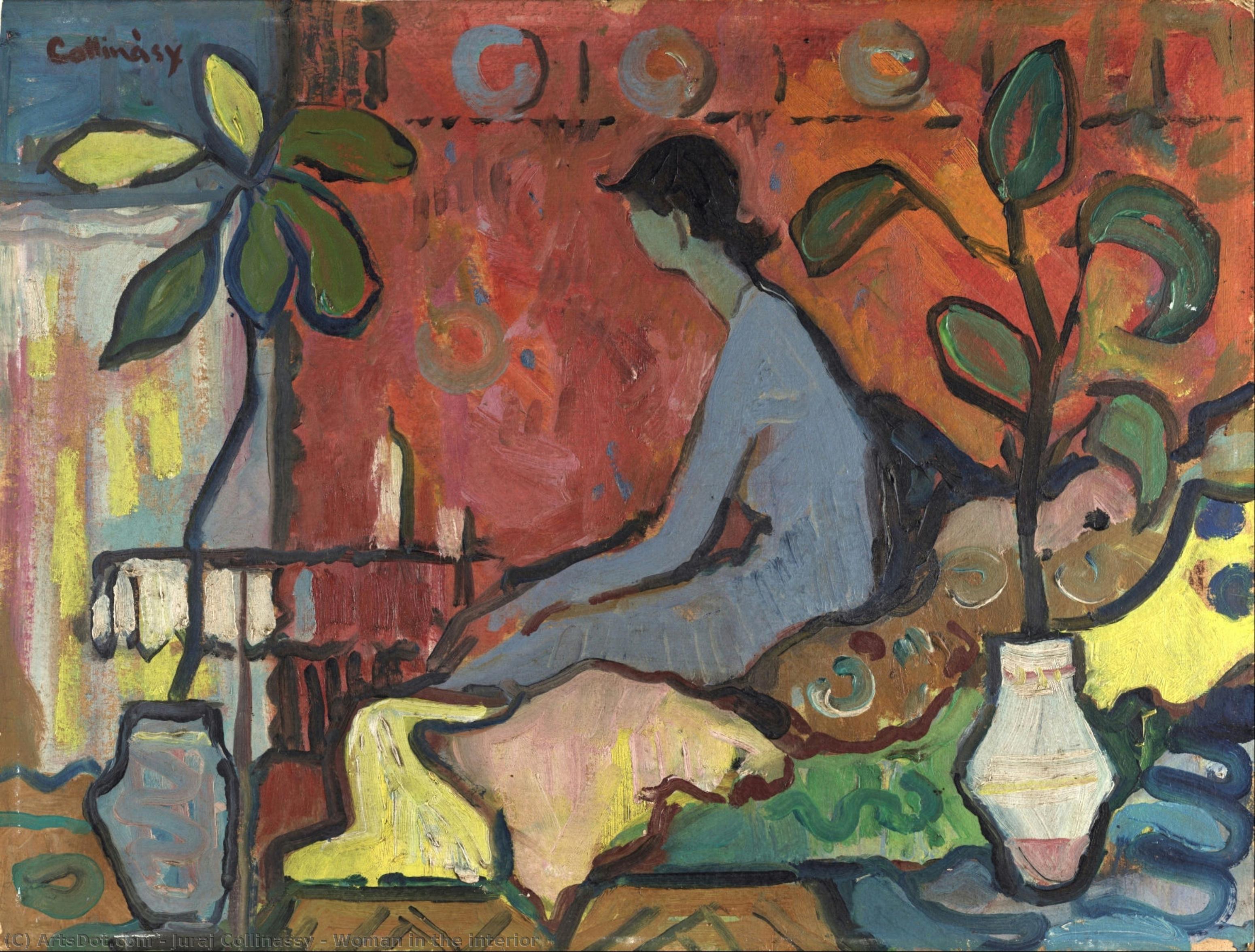 Woman In The Interior — Juraj Collinassy