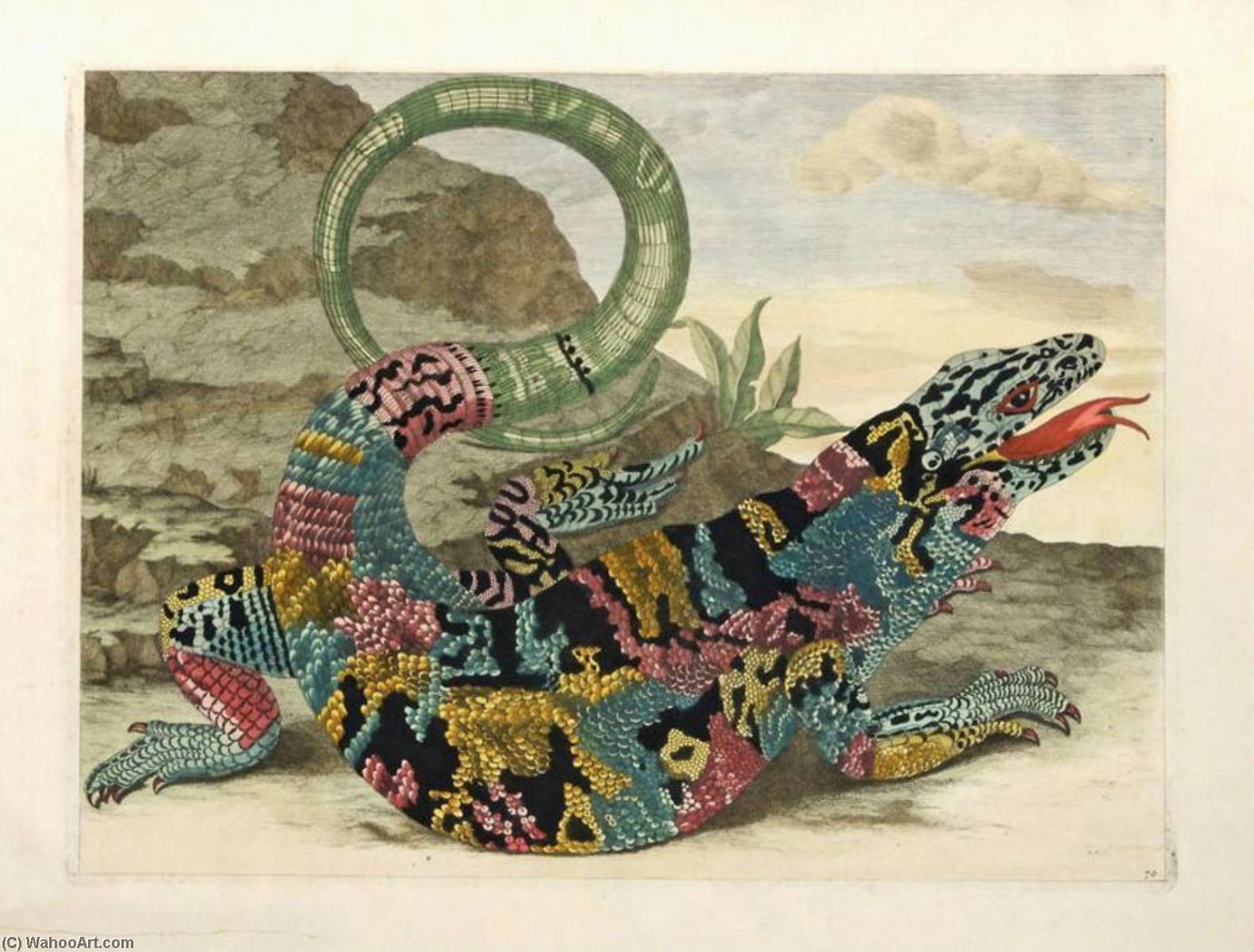 Lizard — Maria Sybilla Merian