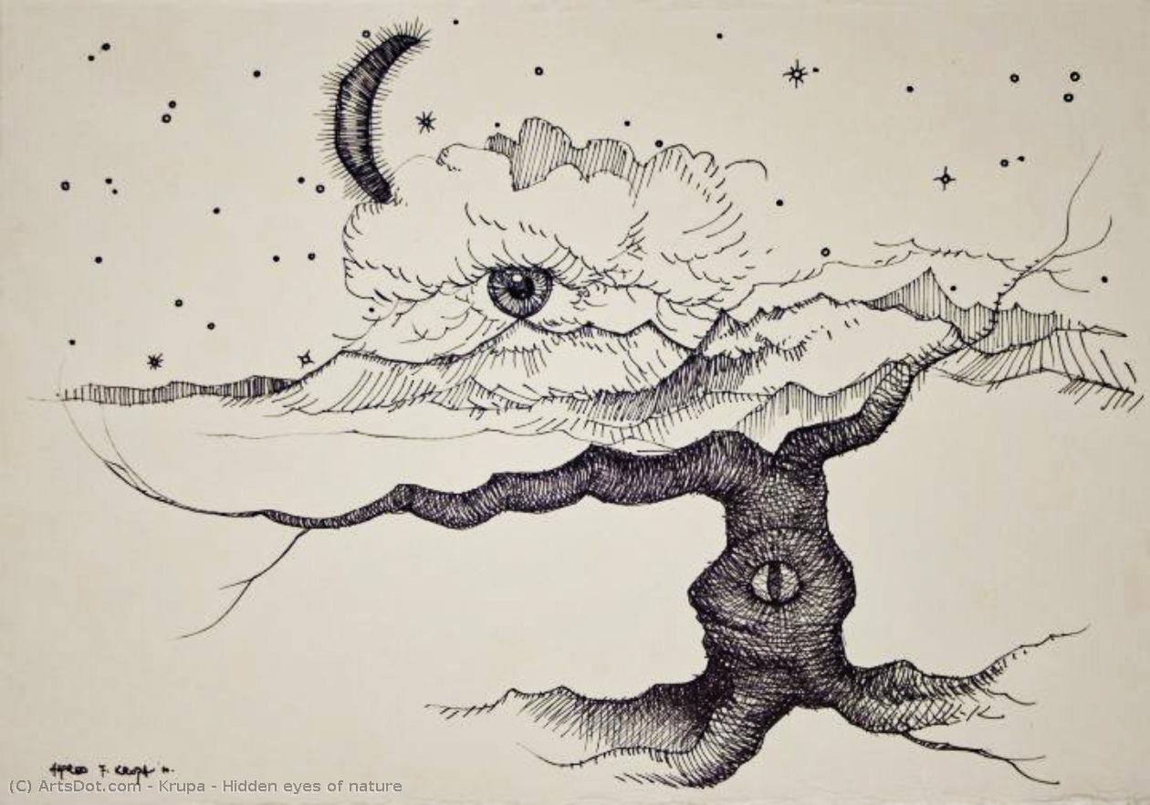 Hidden Eyes Of Nature — Alfred Freddy Krupa