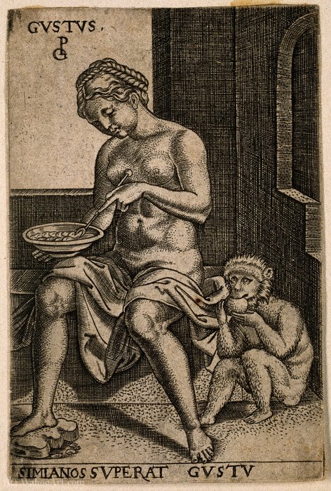 A Woman Eating From A Plate And A Monkey Eating Fruit — Georg Pencz