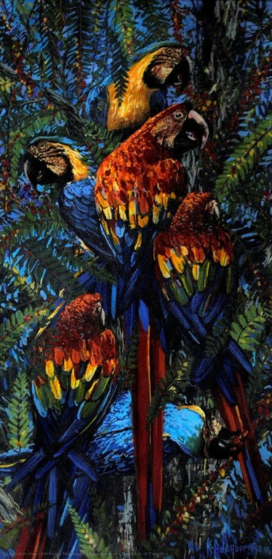 The Birds Of Paradise — Adekunle Makanjuola Adegborioye