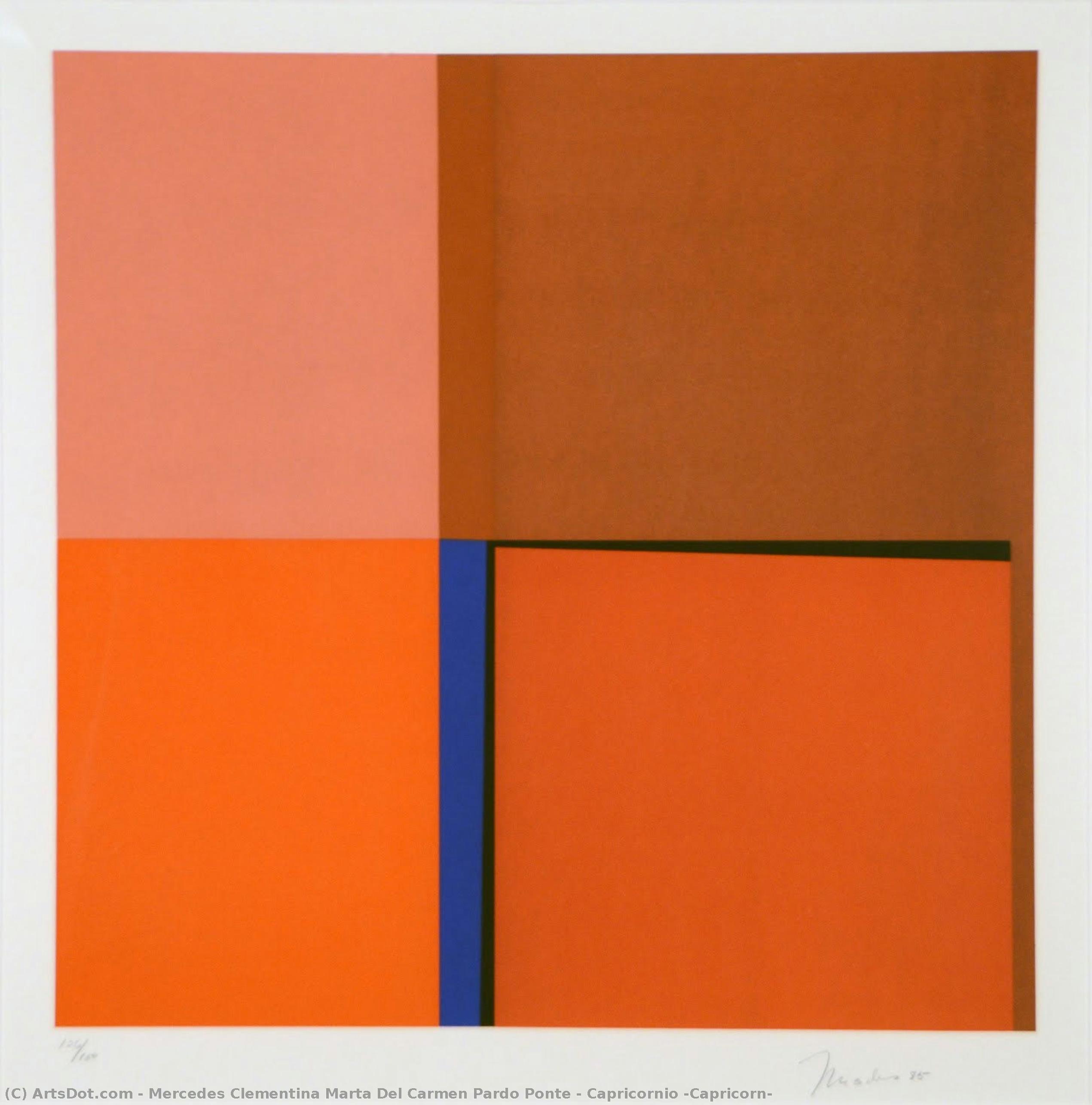 Capricomio (widder) — Mercedes Pardo