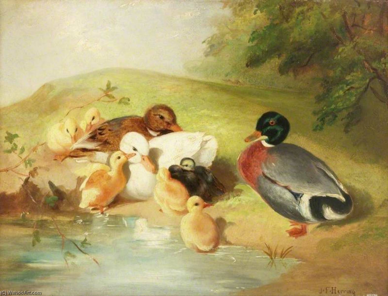 Ducks And Ducklings — John Frederick Herring Ii