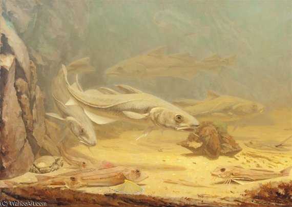 Sea Life — Gerrit Willem Dijsselhof
