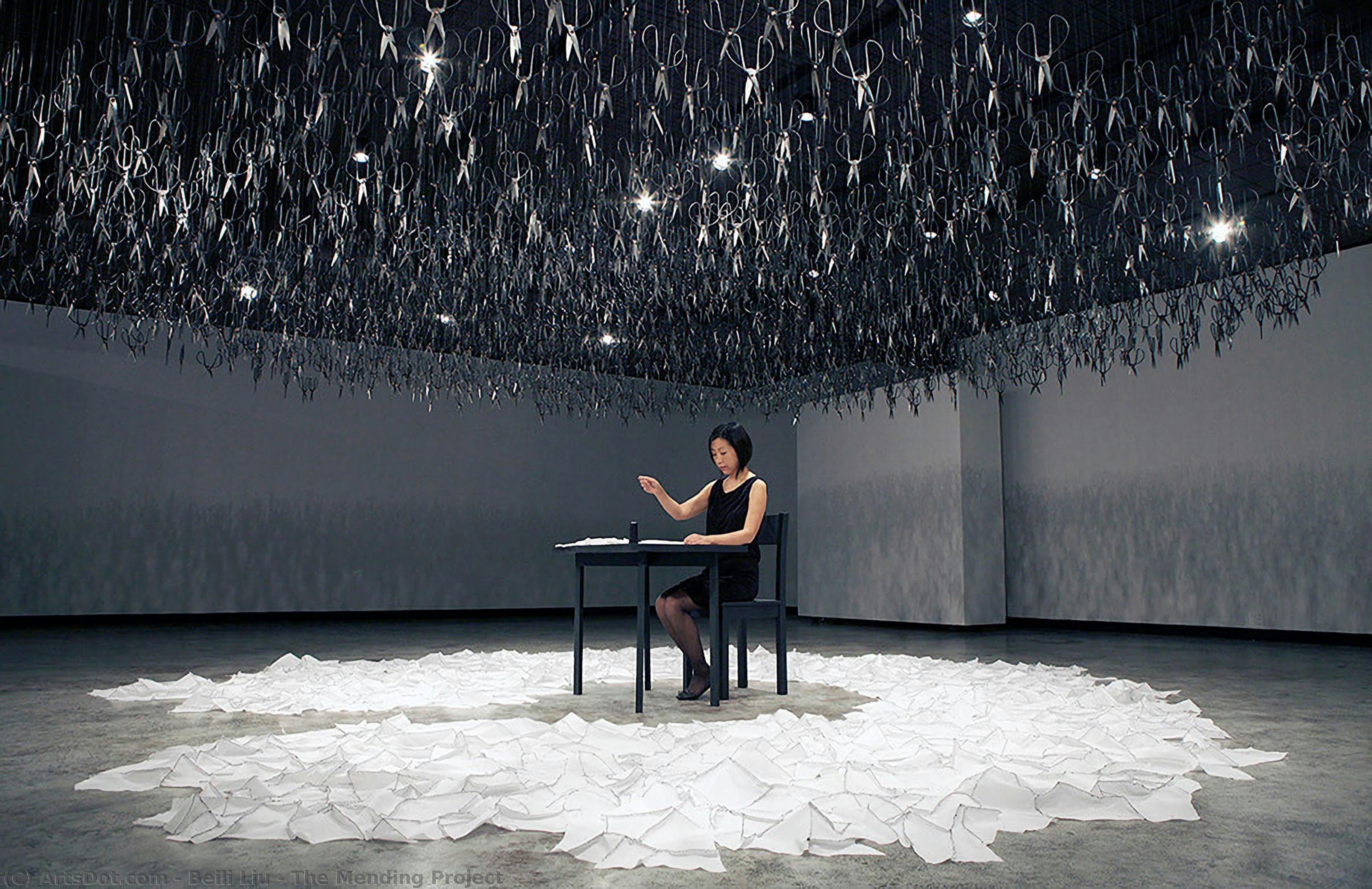 The Mending Project — Beili Liu