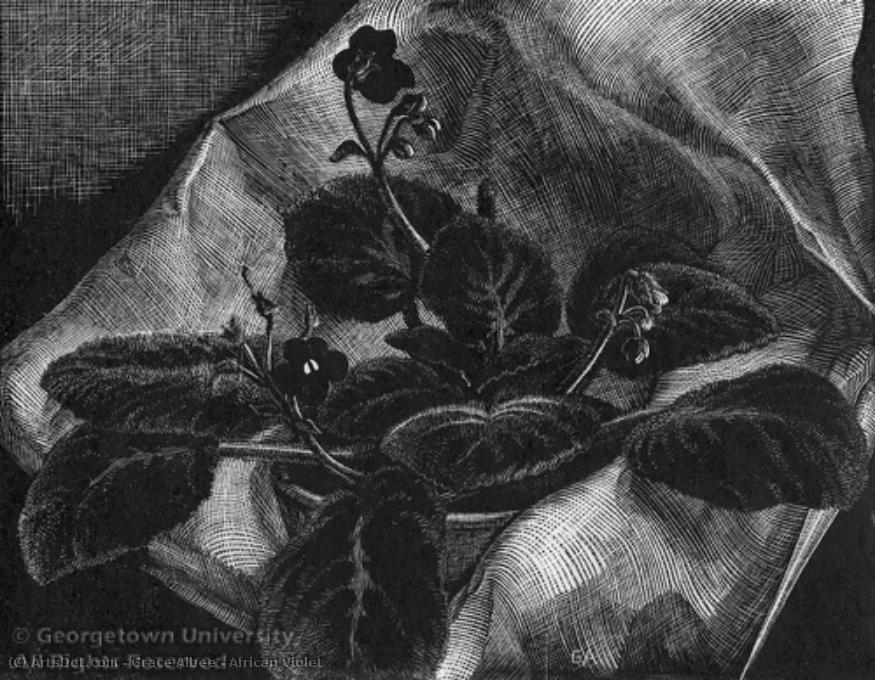 African Violet — Grace Thurston Arnold Albee