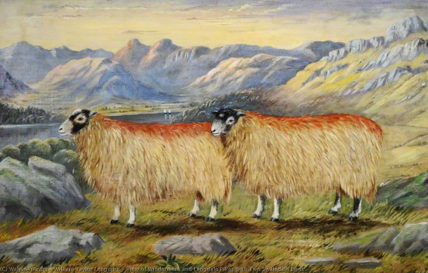 View Of Windermere And Langdale Pikes With Two Swaledale Ewes — William Taylor Longmire