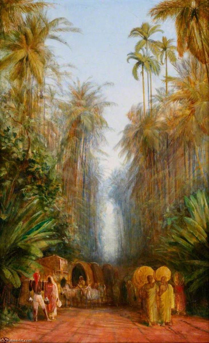 Road Near Galle, Ceylon — Edward Lear
