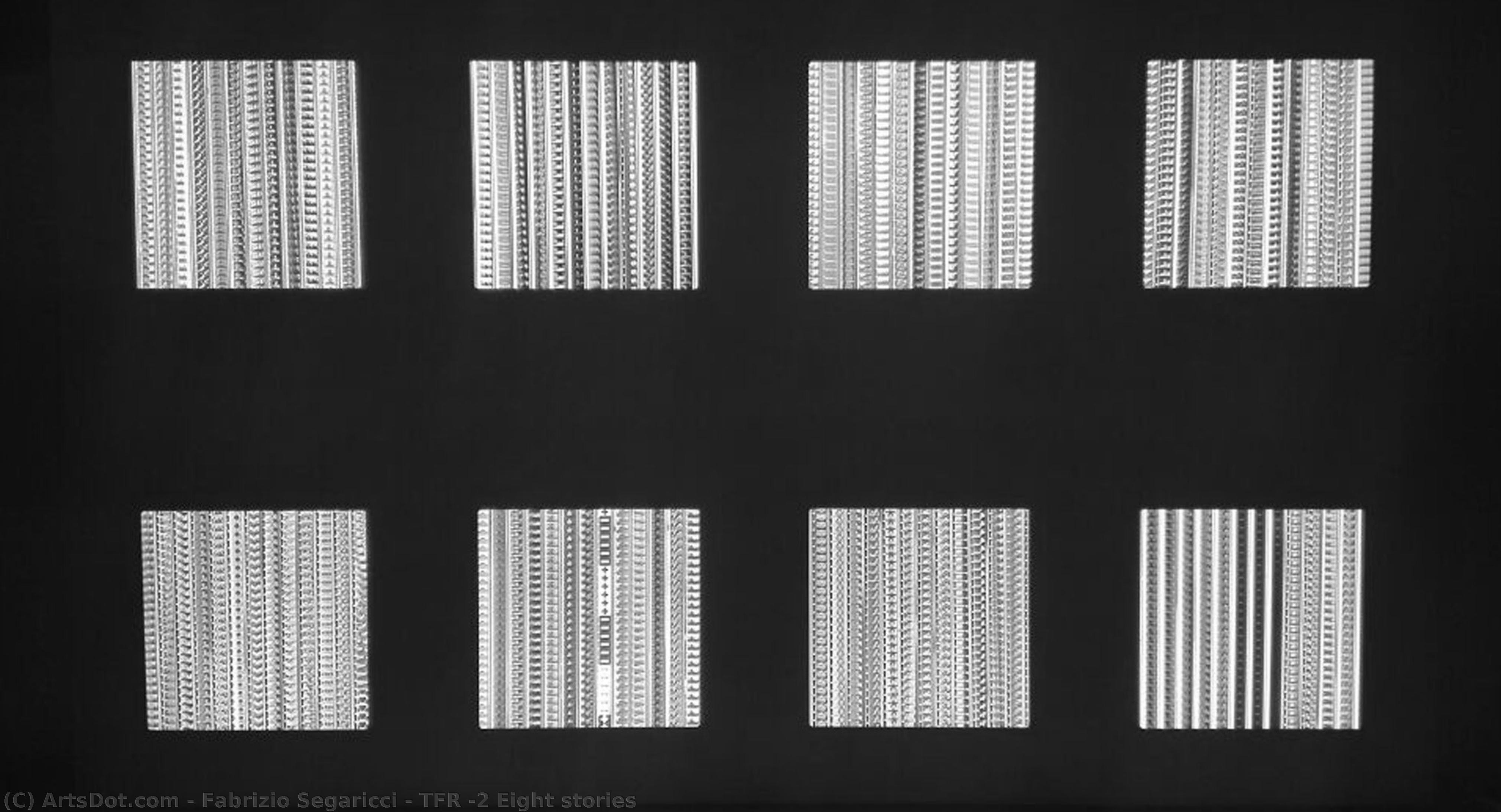 Tfr #2 Eight Stories — Fabrizio Segaricci