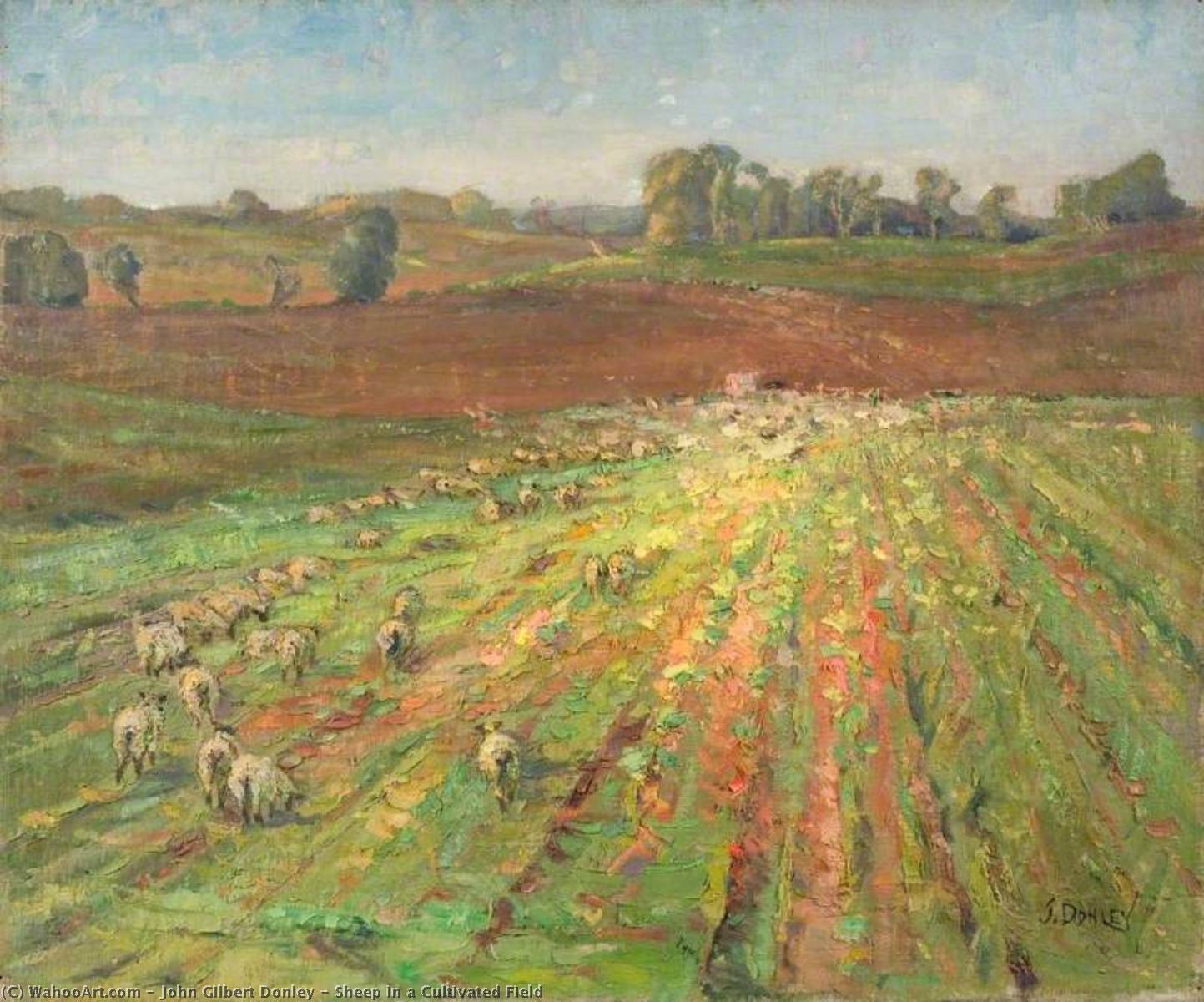 Sheep In A Cultivated Field — John Gilbert Donley