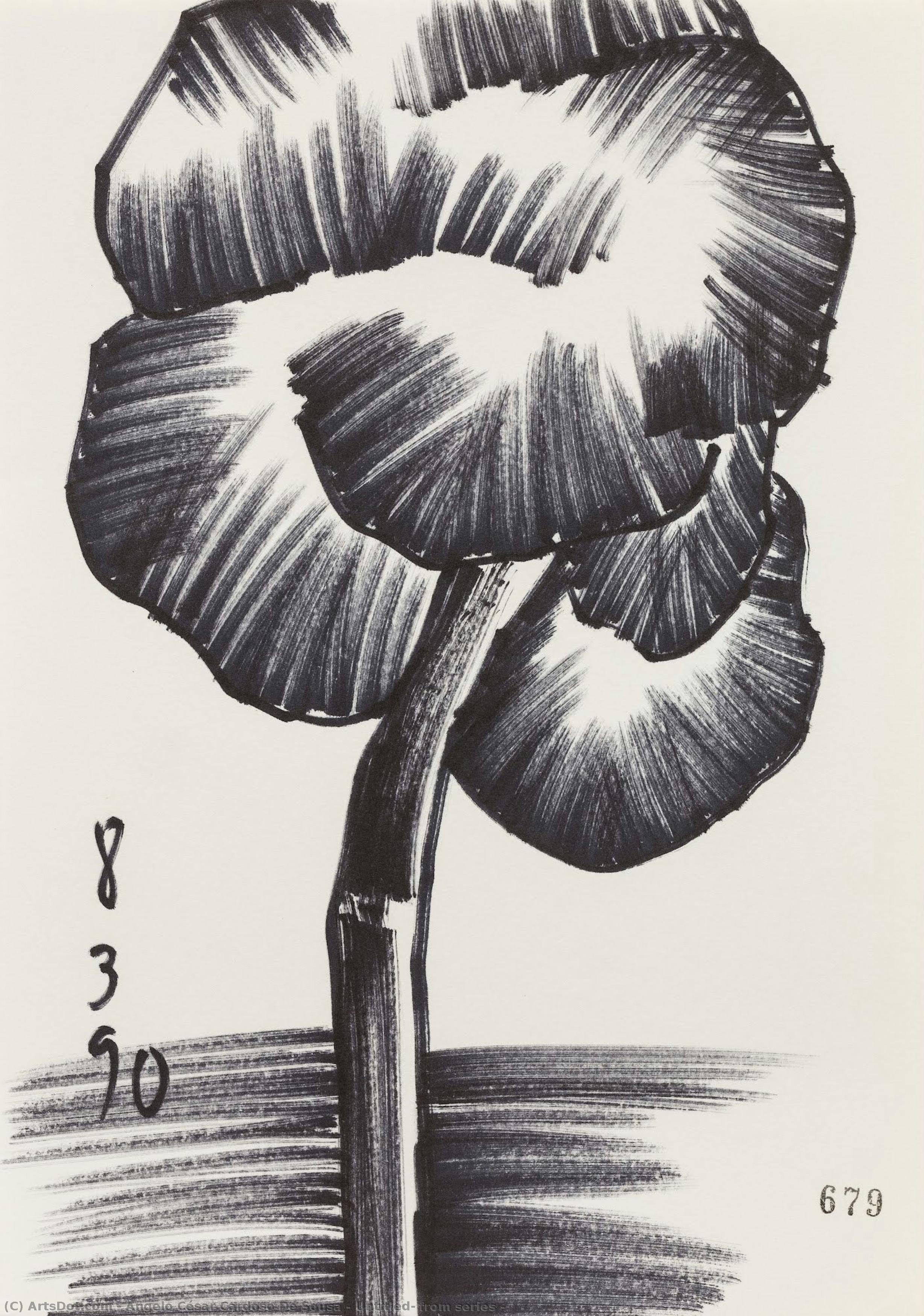 Untitled, From Series — Ângelo De Sousa